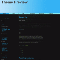 download wordpress theme now!