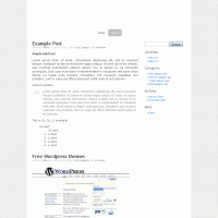 download wordpress theme now!