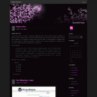 download wordpress theme now!