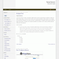 download wordpress theme now!