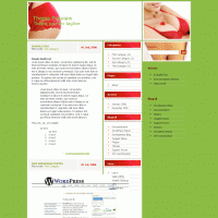 download wordpress theme now!