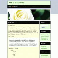 download wordpress theme now!