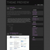 download wordpress theme now!
