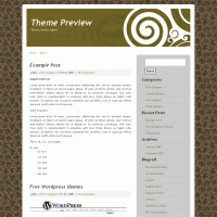 download wordpress theme now!