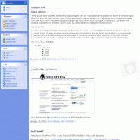download wordpress theme now!