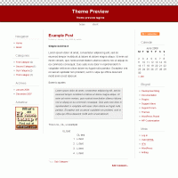 download wordpress theme now!
