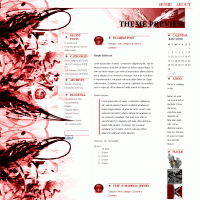 download wordpress theme now!