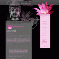 download wordpress theme now!