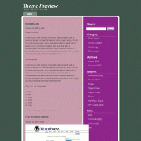 download wordpress theme now!