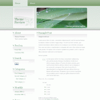 download wordpress theme now!