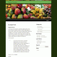 download wordpress theme now!