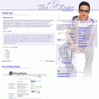 download wordpress theme now!