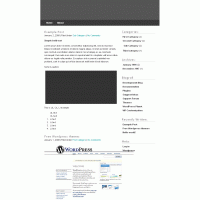 download wordpress theme now!
