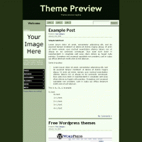 download wordpress theme now!
