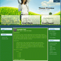download wordpress theme now!
