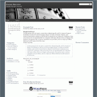 download wordpress theme now!