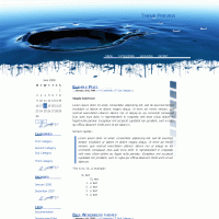 download wordpress theme now!