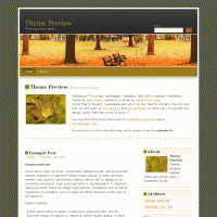 download wordpress theme now!