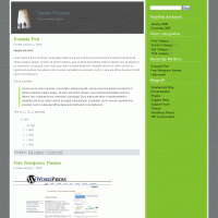 download wordpress theme now!