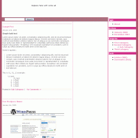 download wordpress theme now!