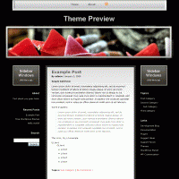 download wordpress theme now!