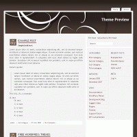 download wordpress theme now!