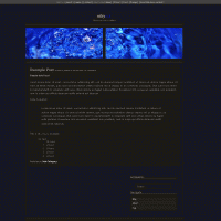 download wordpress theme now!